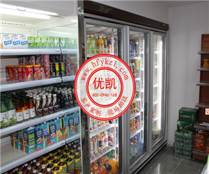 廣西省柳州市柳江縣風幕柜冷藏柜案例