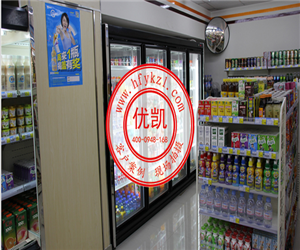 甘肅省嘉峪關市天誠廣場風幕柜案例