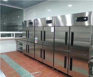 武漢四門(mén)廚房冷柜案例（風(fēng)冷款）