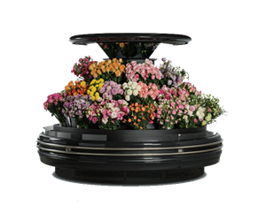 環(huán)島鮮花柜