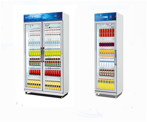 19YK-XKA飲料展示柜（風(fēng)冷）
