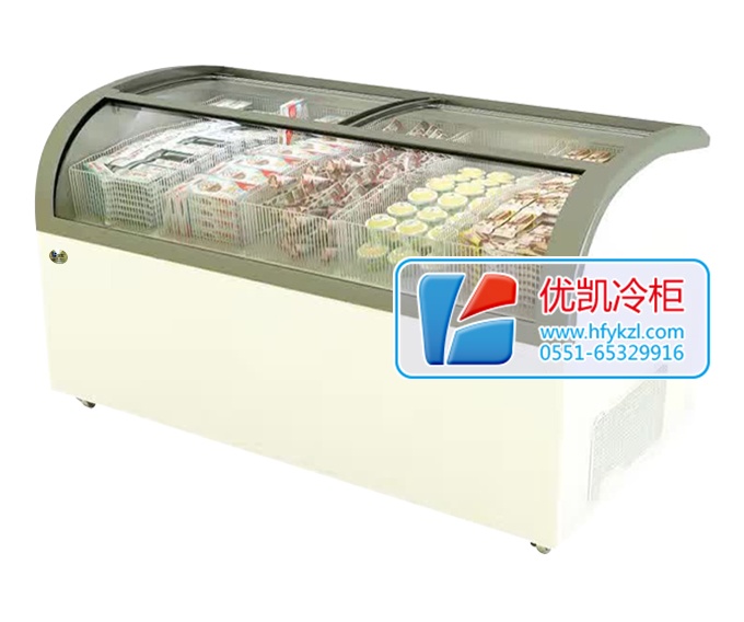 17BQ-B1經(jīng)濟(jì)節(jié)能型淇淋展示柜