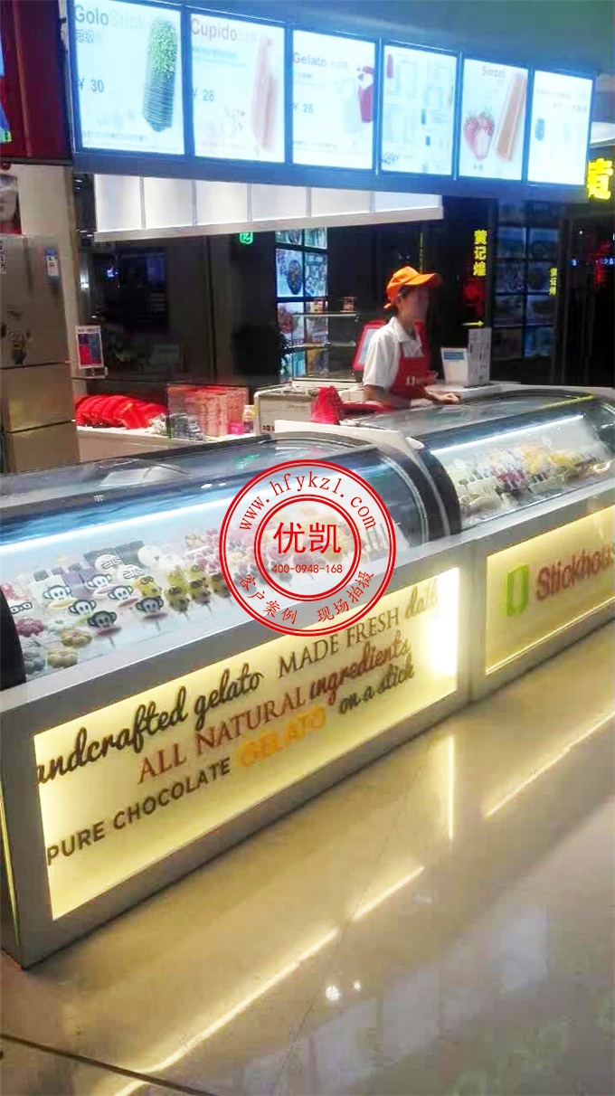 17BQ-B2經(jīng)濟節(jié)能型淇淋展示柜