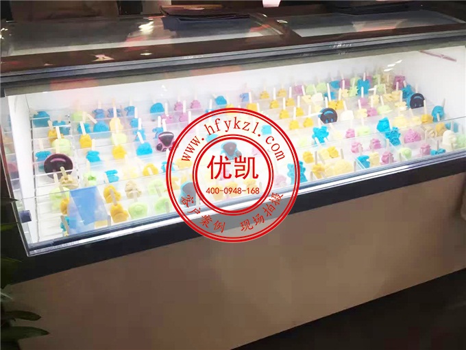 17BQ-B2經(jīng)濟節(jié)能型淇淋展示柜1