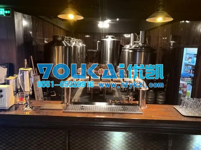 商用風(fēng)冷扎啤啤酒機(jī)