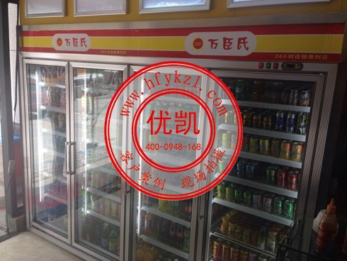 深圳萬(wàn)臣氏便利店冷藏柜案例