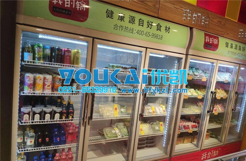 湖南長(zhǎng)沙火鍋燒烤食材冷柜冷藏冷凍柜案例