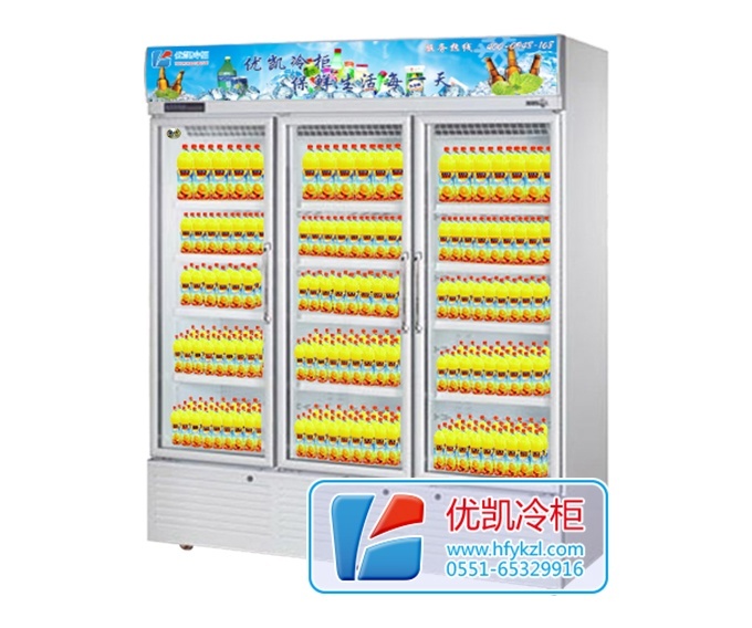 BL-LAF風(fēng)冷三門(mén)陳列柜（廠長(zhǎng)推薦）