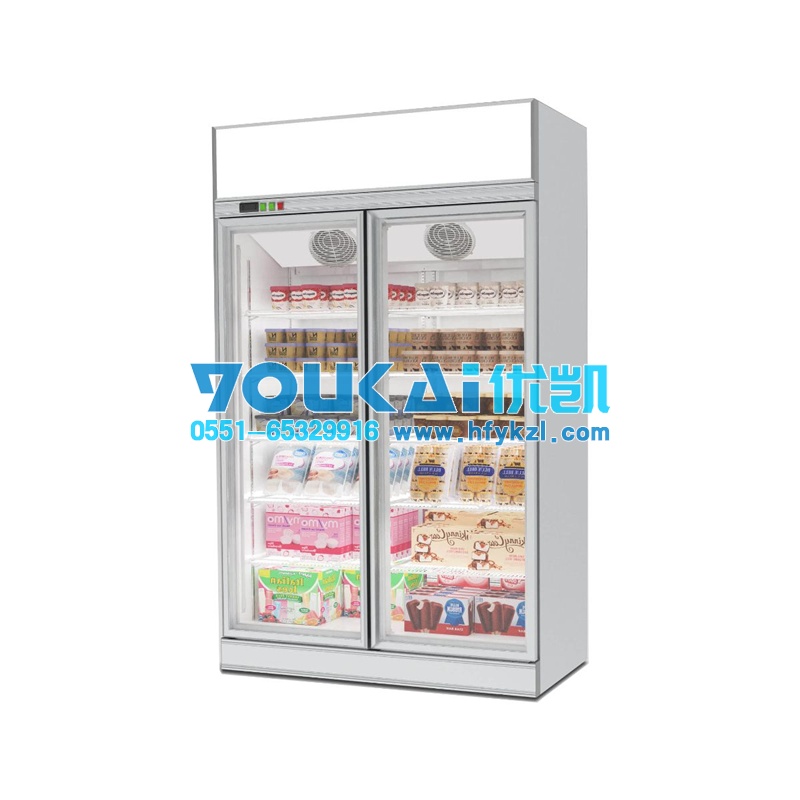20款-D型玻璃門便利店冷凍柜