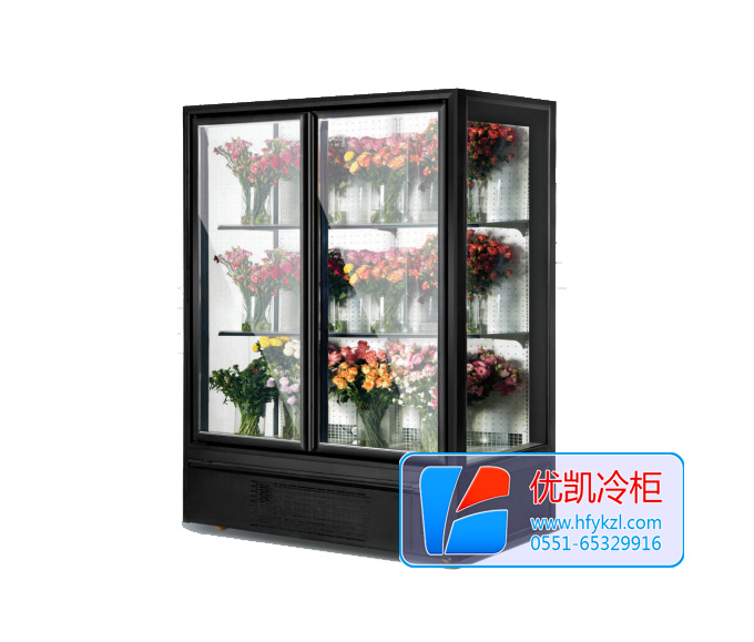 風(fēng)冷玻璃門鮮花柜
