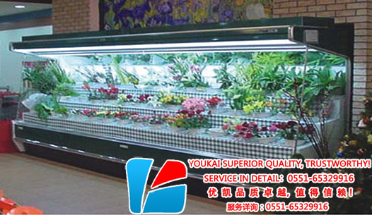 XH-FA風(fēng)冷鮮花柜